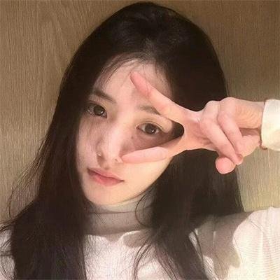 北极征熊记