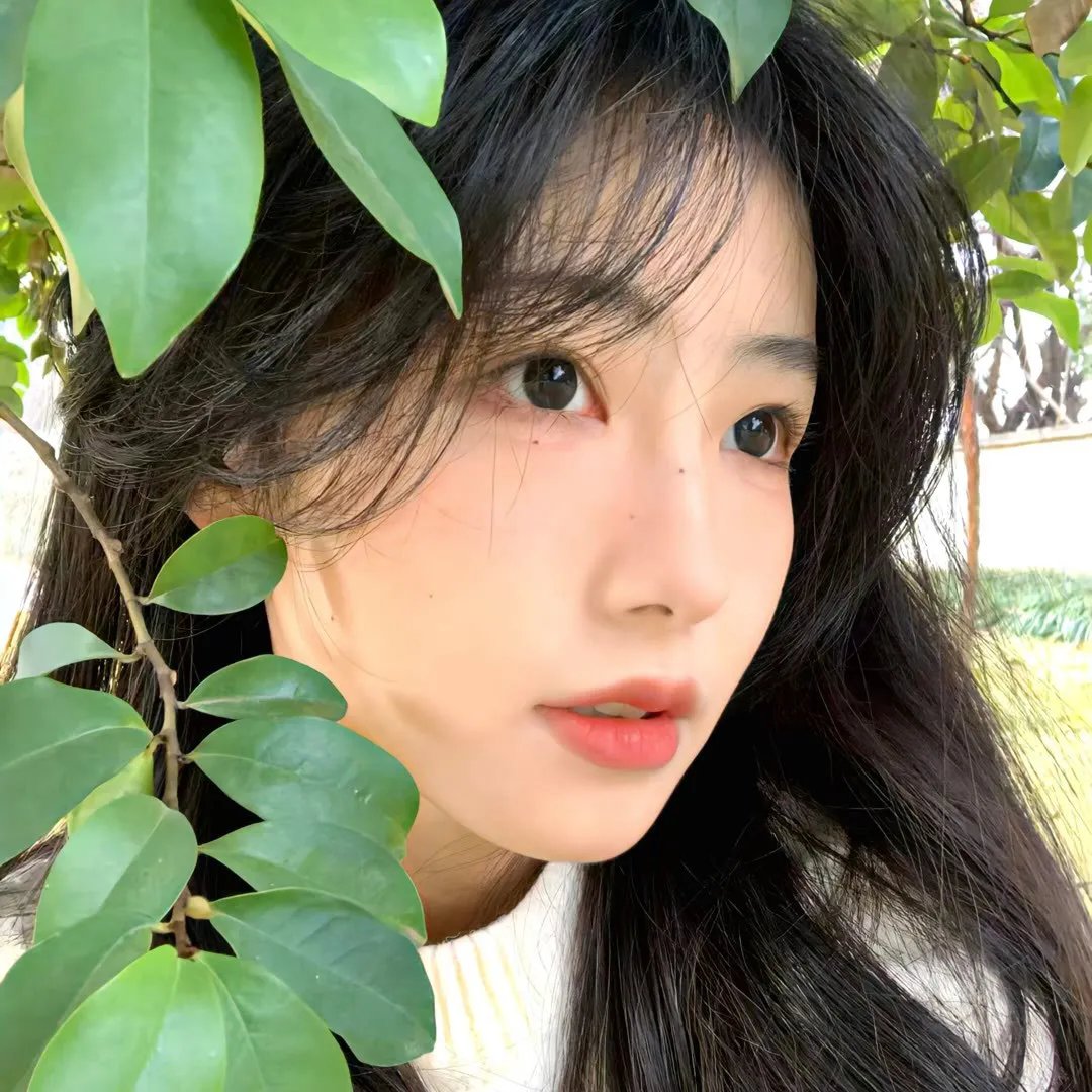 致真理